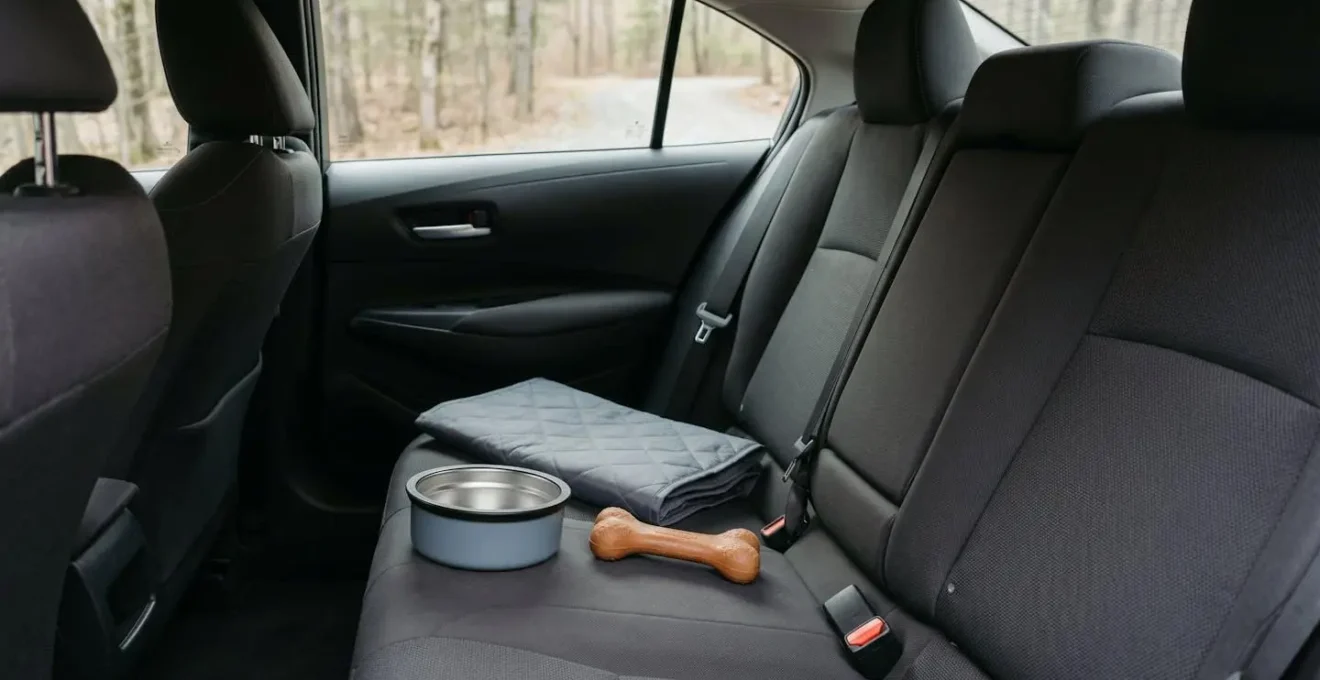 Ensemble d'accessoires de voyage pour chien disposés harmonieusement : gamelle anti-renversement, tapis rafraîchissant et jouet de mastication