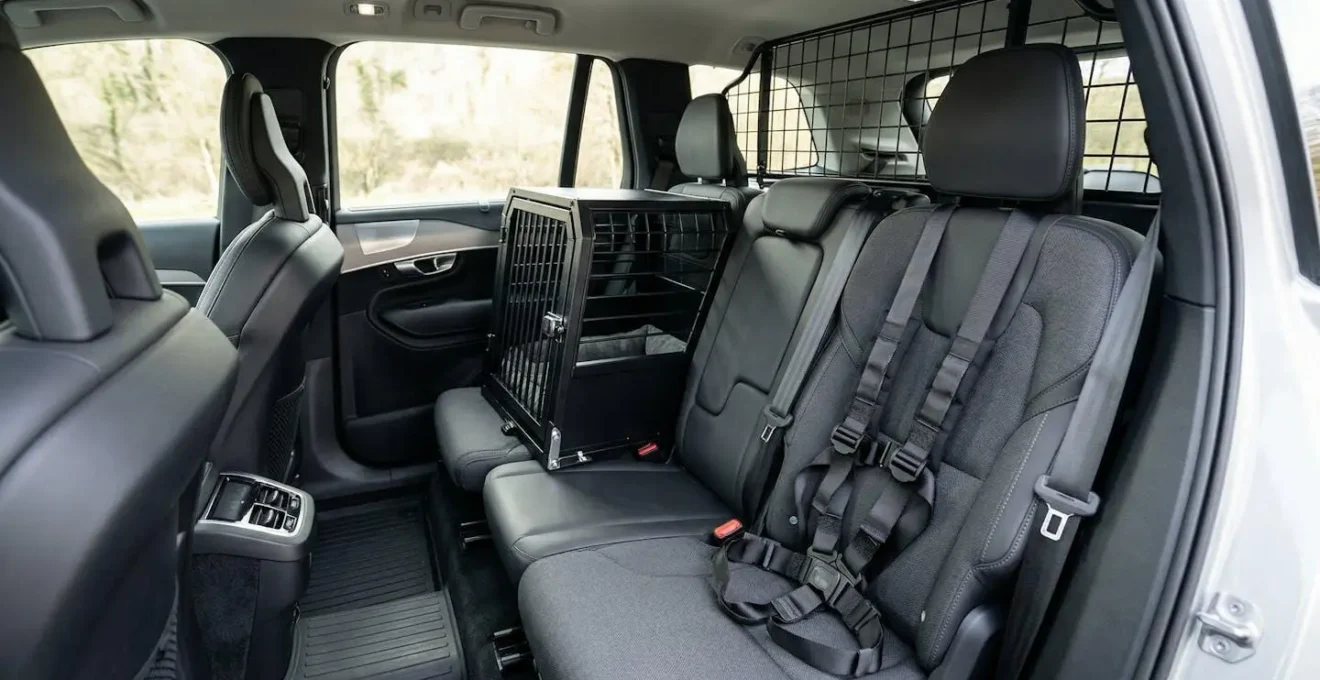 Vue intérieure d'une voiture moderne montrant des accessoires de sécurité pour le transport d'animaux domestiques