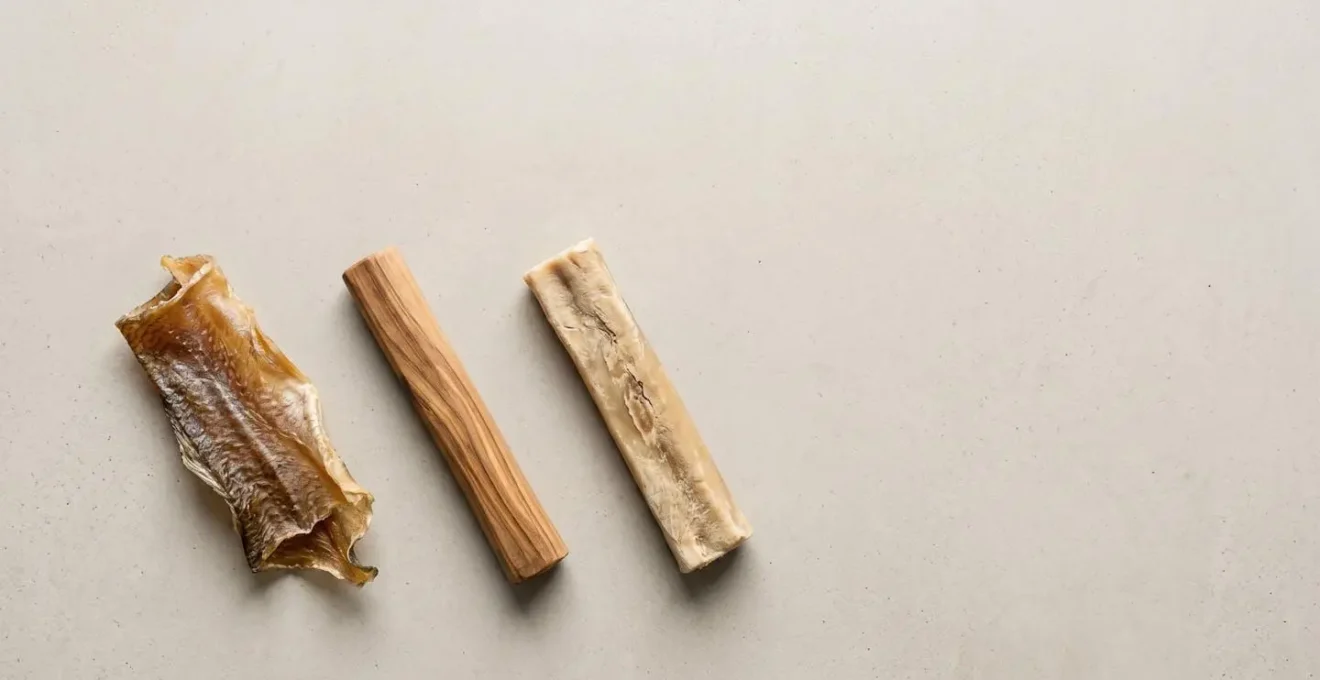 Arrangement minimaliste de friandises naturelles pour chien sur surface épurée