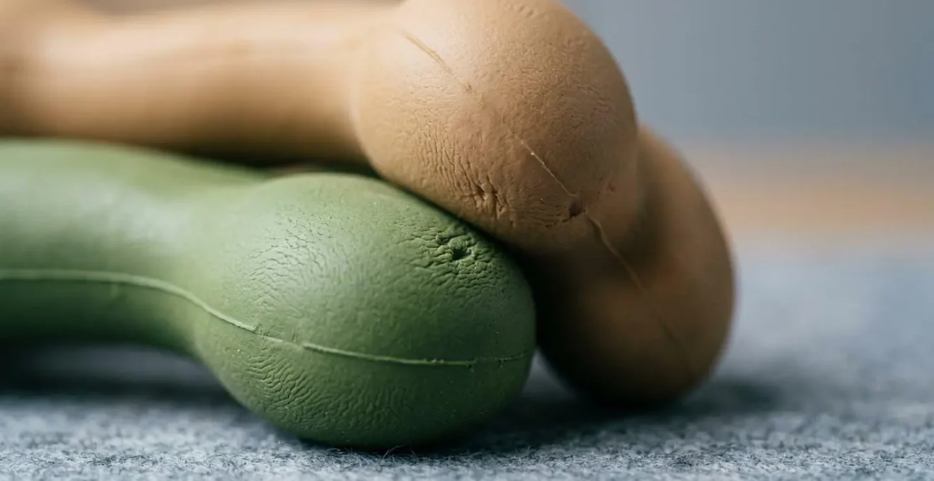 Sélection d'alternatives sécurisées pour la mastication du chiot avec jouets adaptés