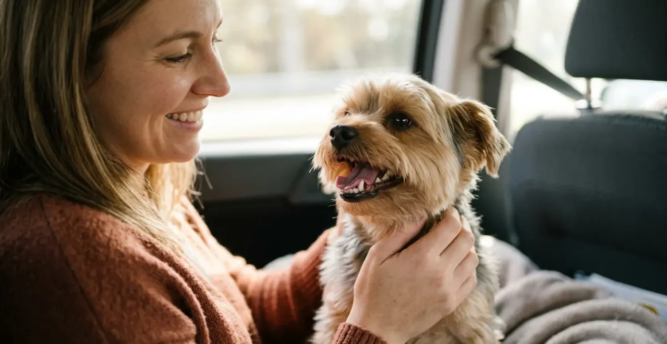 Chien profitant d'un moment de complicité avec son propriétaire illustrant l'importance de l'hygiène bucco-dentaire pour des voyages sereins