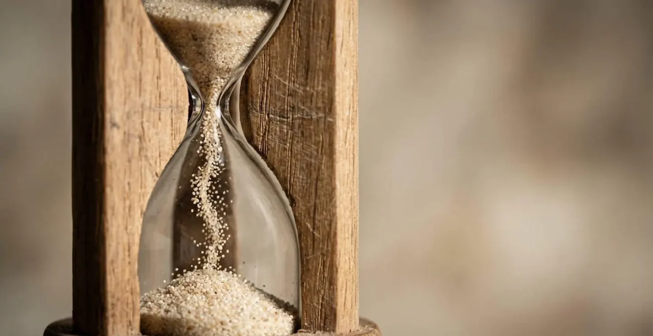 Représentation visuelle du timing optimal entre l'administration d'antibiotiques et de probiotiques chez le chien